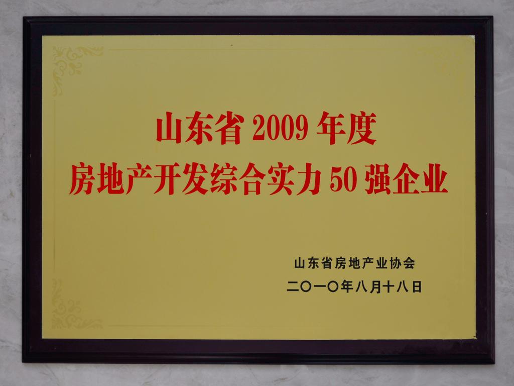 山东省2009年度房地产开发综合实力50强企业——山东省房地产业协会